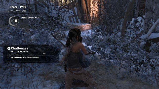 Rise of the Tomb Raider - 11