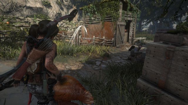 Rise of the Tomb Raider - 12