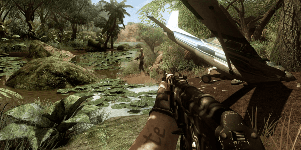 Far Cry 3 Multiplayer