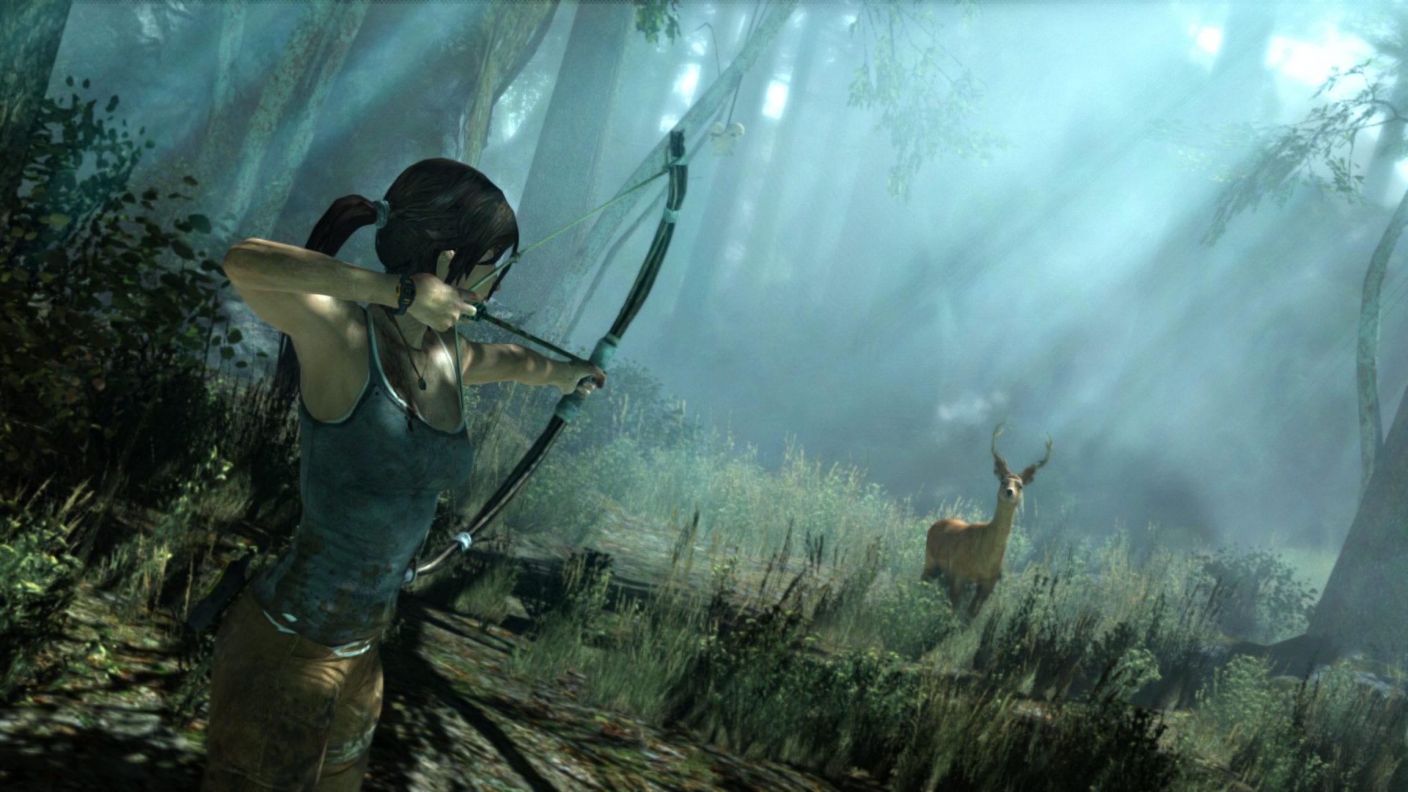 Tomb Raider Crystal Dynamics