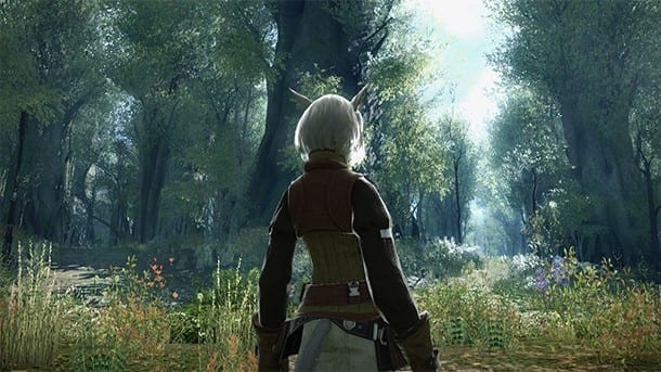 Sprog perforere chauffør Top 10 Best MMOs of 2013