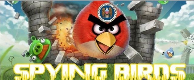 Spying Angry Birds
