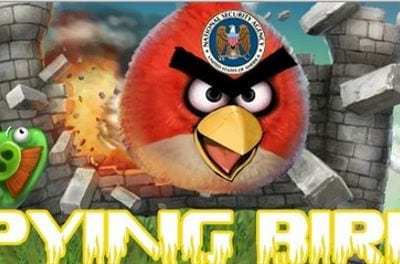 Spying Angry Birds