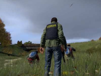 DayZ