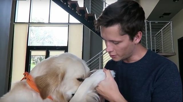 TmarTn-dog-sorry.jpg