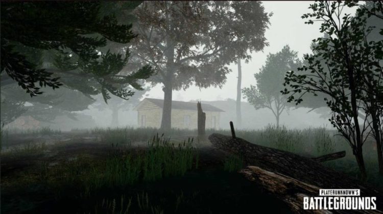 Playerunknowns Battlegrounds New Foggy Weather Screenshots