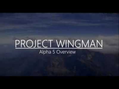 Project Wingman