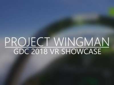 Project WIngman