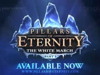 Pillars Of Eternity: The White March – Part 1 Review For Pc