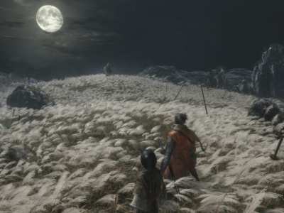 Sekiro Release Date