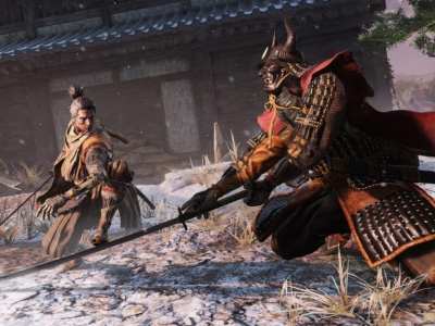 Sekiro fight
