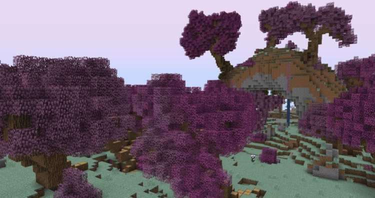 MC_Pitman Minecraft Biome purple