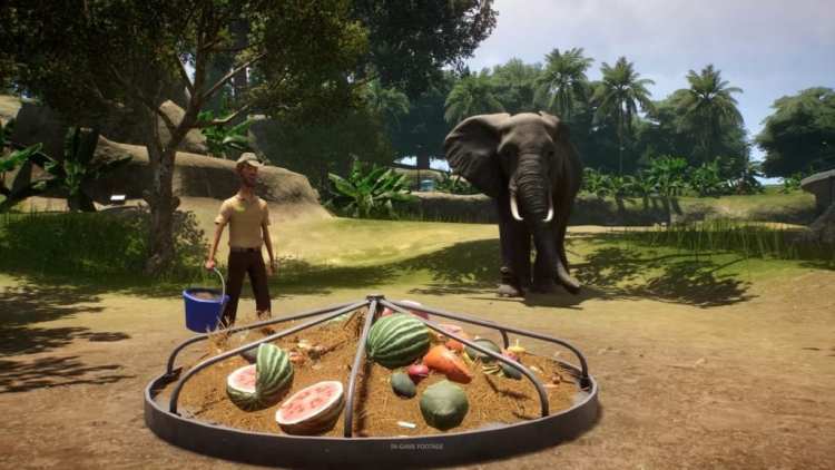 Planet Zoo E3 2019 1 reveal gameplay trailer frontier developments