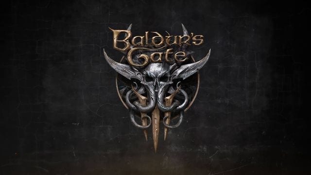 Baldur's Gate III case for a turn-based mode