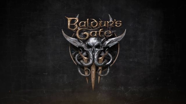 Baldur's Gate III case for a turn-based mode