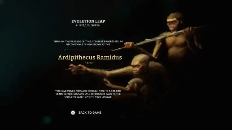 Evolution Ardipithecus