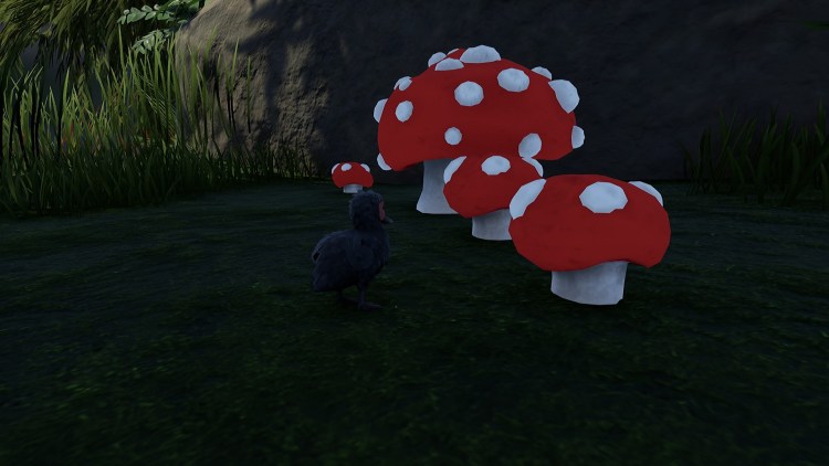 Lost Ember Mushrooms