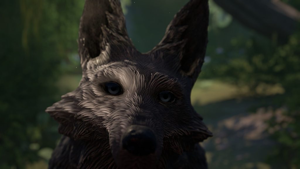 Lost Ember review PC