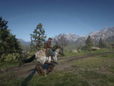 Red Dead Redemption 2 Pc Riding