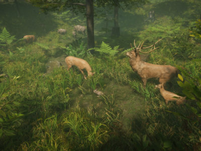 Natural Instincts Announcement Trailer Forest Open World Nature Simulator