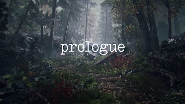 PlayerUnknown Prologue