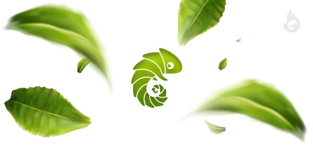 Crytivo Mission Koala Australia wildfires