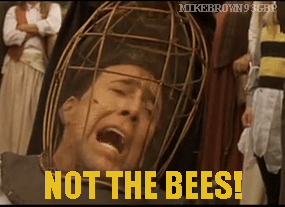 Not The Bees Gif