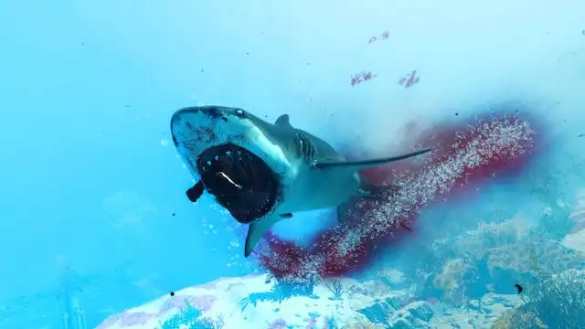Maneater shark