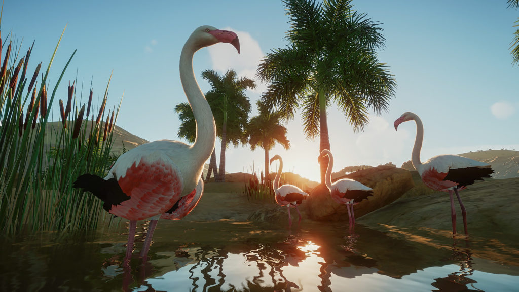 Planet Zoo Flamingos