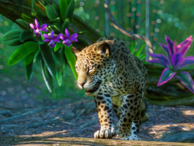 Planet Zoo South America pack