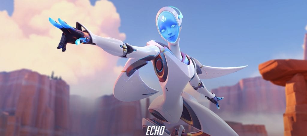 Echo Overwatch