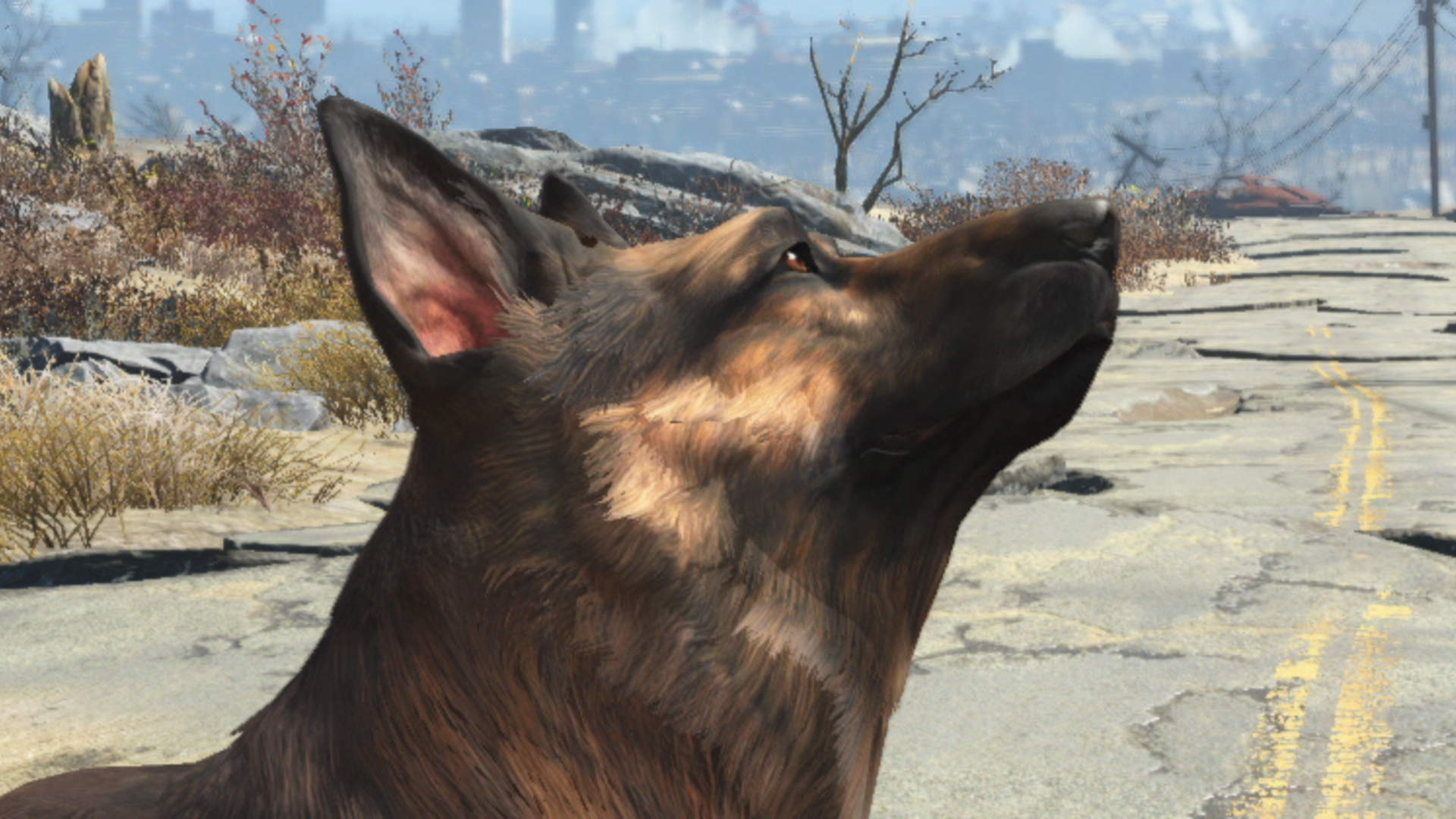 Fallout 4 good boy dogmeat фото 36