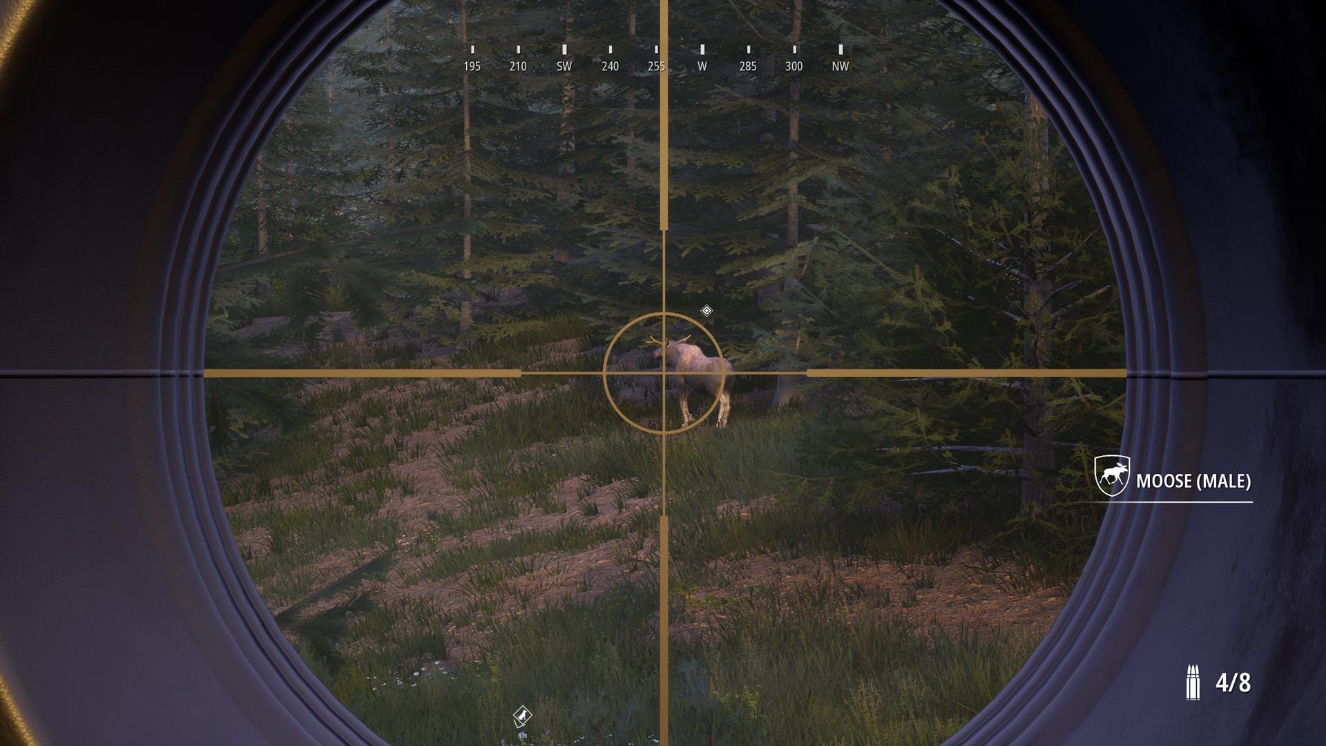 Hunting Simulator 2 preview -- Gunsight-seeing