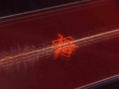 Halo Banished Faction Teaser