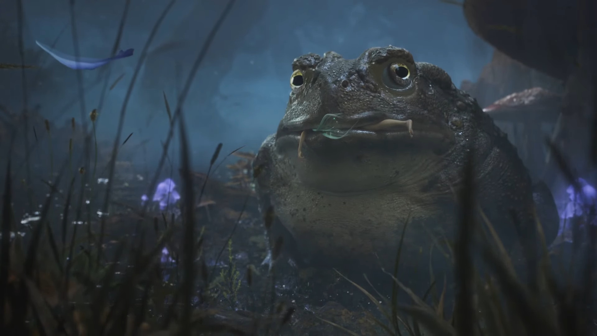 Xbox Games Showcase fable teaser playground games