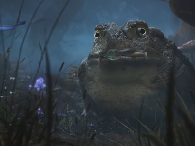 Xbox Games Showcase fable teaser playground games