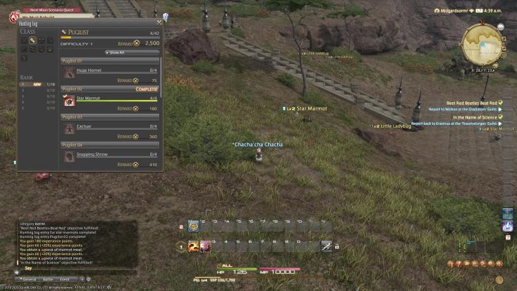 Final Fantasy Xiv Hunting Log