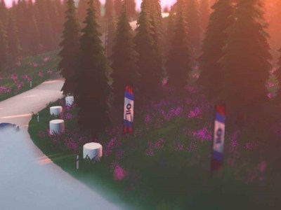 Art Of Rally PC Steam