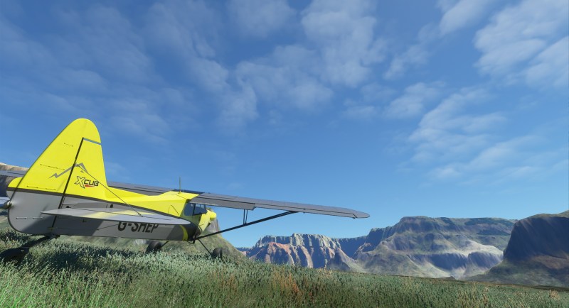 Microsoft Flight Simulator Cub In The Canyon