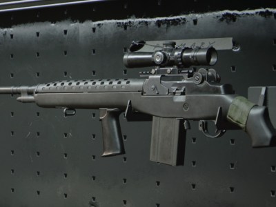 Black Ops Cold War Dmr14 Gunsmit