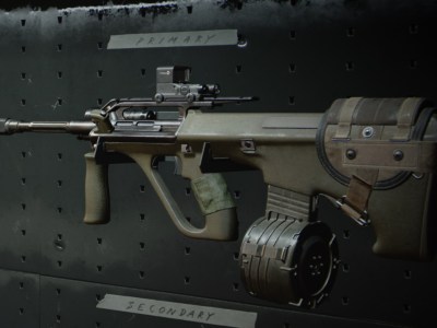 Black Ops Cold War Aug Gunsmith