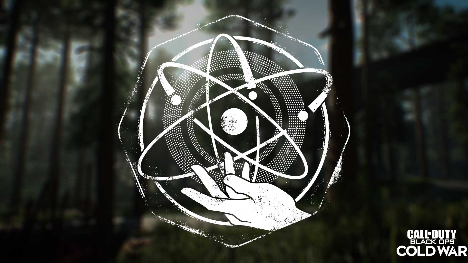 Black Ops Cold War Fireteam