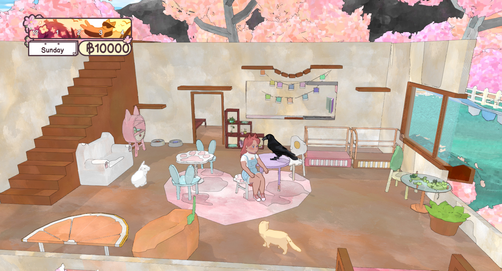  Cat  caf  sim Calico oozes fun charm and animal magic  