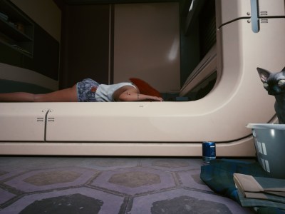 Cyberpunk 2077 Where To Find A Pet Cat Nibbles Cat Food