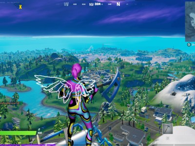 Fortnite Performance