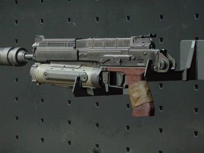 Black Ops Cold War Bullfrog Gunsmith