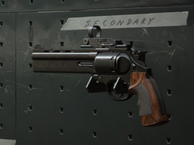 Black Ops Cold War Magnum Gunsmith