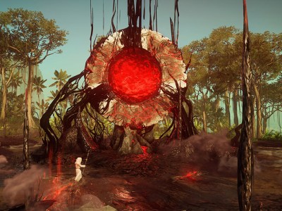 New World Graphics Card Issues
