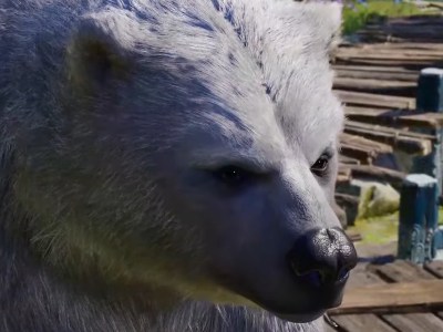 Baldurs Gate Iii Druid Bear Feat