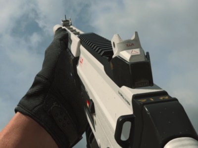 Warzone Grau Build In Game Model Feature